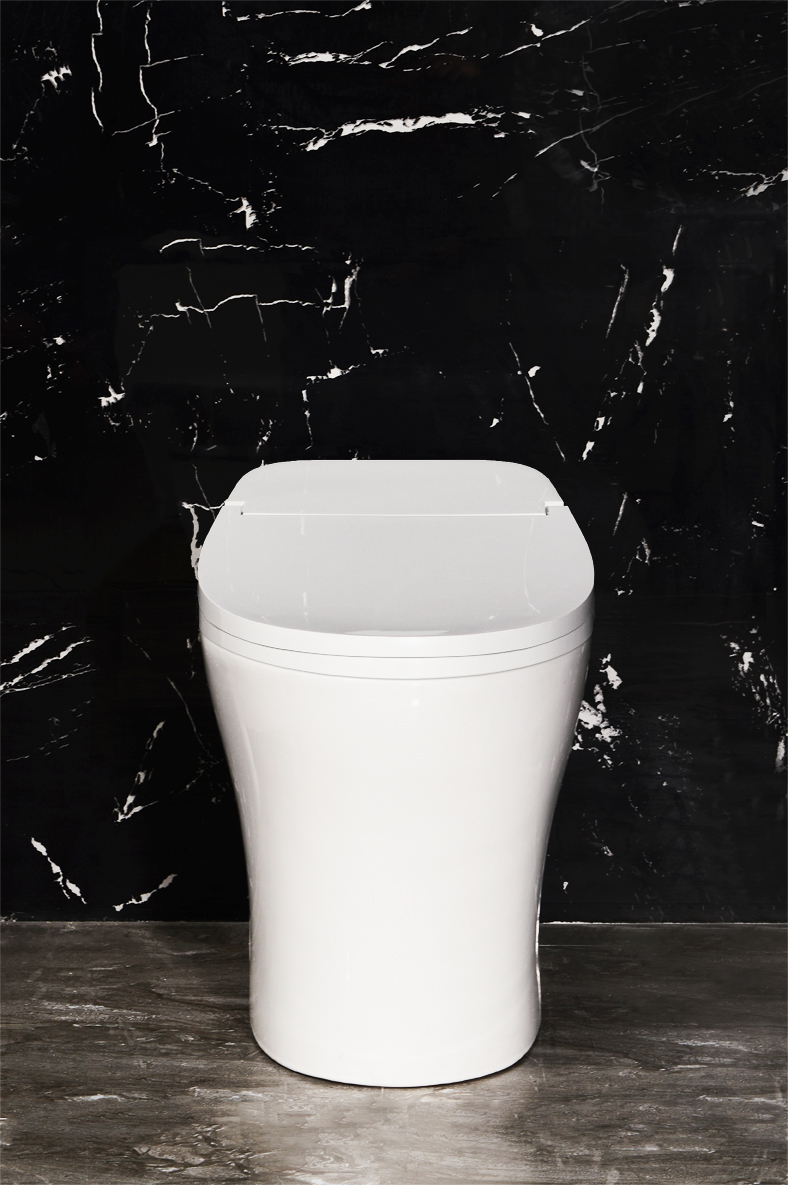 VISTA Wallhung Toilet – ICERA